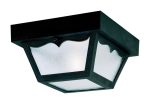 Westinghouse Matte Black Switch Incandescent Light Fixture on Sale