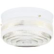 Westinghouse 5-1 4 in. H X 10-3 4 in. W X 10.75 in. L Ceiling Light Sale