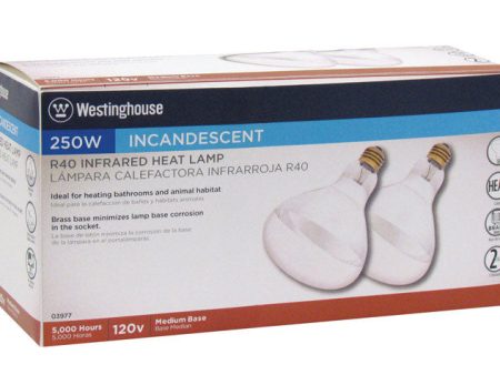 Westinghouse 250 W R40 Heat Lamp Incandescent Light Bulb Medium Base Clear 2 pk Online Sale