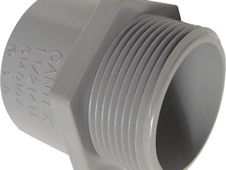 Cantex 1-1 4 in. D PVC Male Adapter For PVC 1 each For Cheap